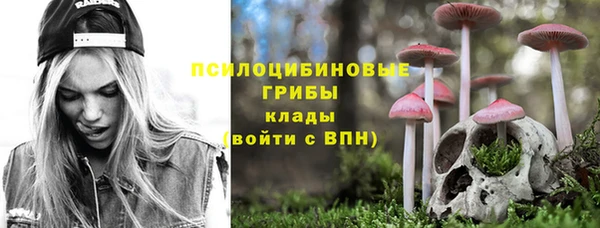 дурь Грязовец