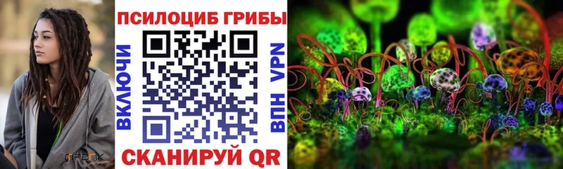 Купить  Жиздра  Псилоцибиновые грибы MAGIC MUSHROOMS 